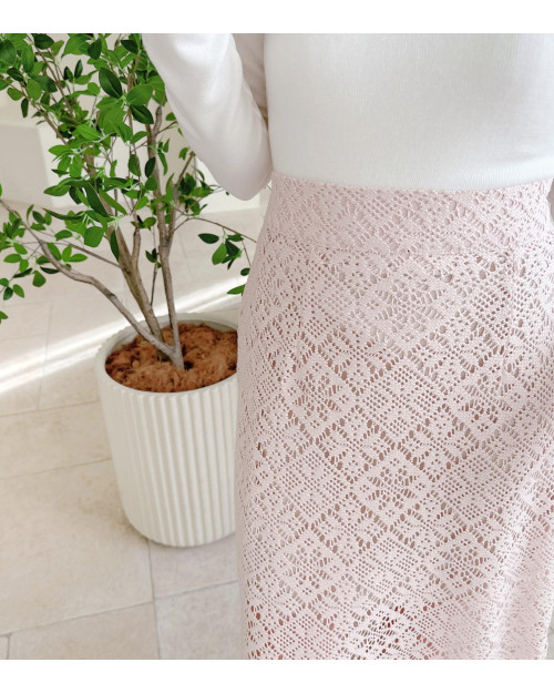 Embroidery A-line Midi Skirt