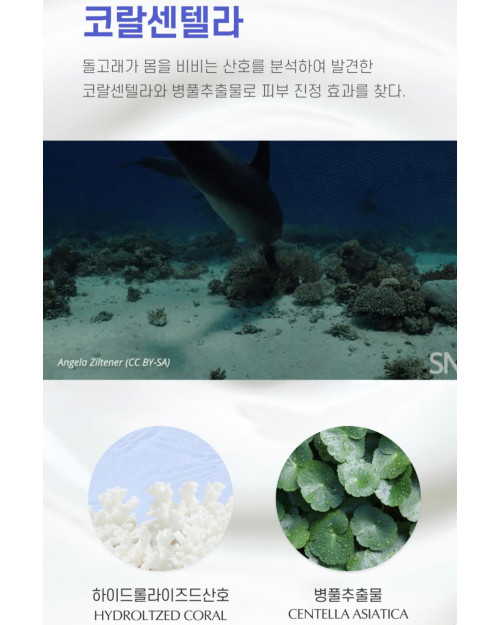 [限時優惠] LYLYL Coral Centella Sun Cushion