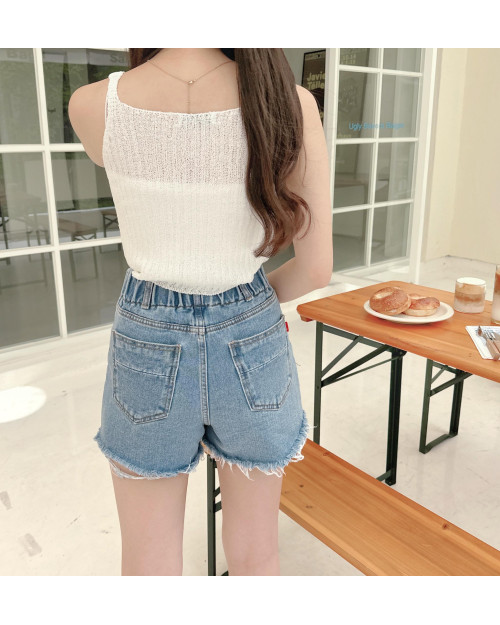 Summer Denim Shorts