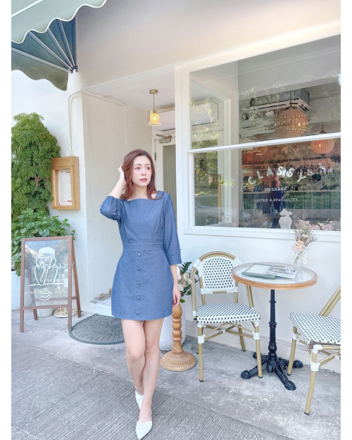 JEVIA Denim Blue Button Dress